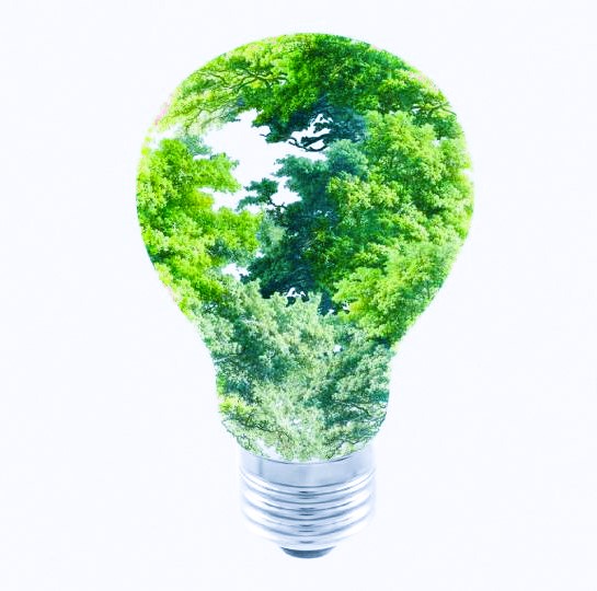 Ecological planet in the form of a light bulb